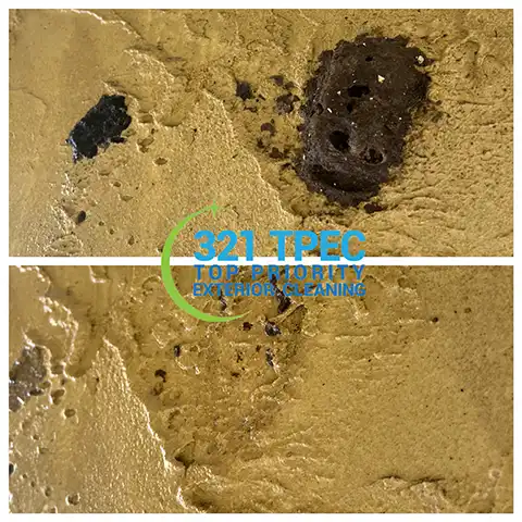 Cleaning mud daubers