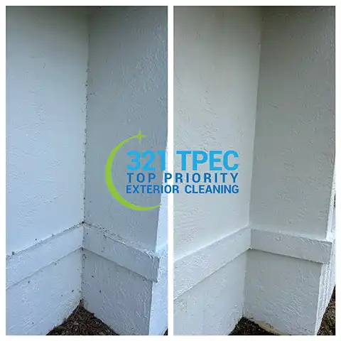 Cleaning plaster bagworms